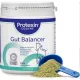 Protexin Gut Balancer 400g