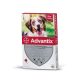 Advantix spot on ampulla kutyáknak 10-25kg 1db