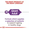 Royal Canin Giant Adult 4kg - kutya száraztáp