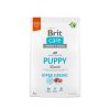 Brit Care Puppy All Breed lamb&rice 3kg- hipoallergén kutyatáp, kölykök számára