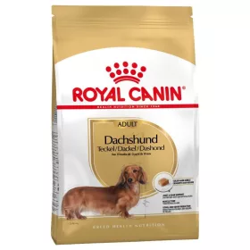 Royal Canin Dachshund Adult 1,5kg - kutya száraztáp