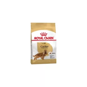 Royal Canin Cocker Adult 3kg - kutya száraztáp