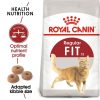 Royal Canin Fit 32 400g - macska száraztáp