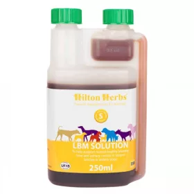 LBM Solution húgyhólyag támogató oldat 250ml