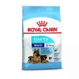   Royal Canin Maxi Starter Mother&Babydog 4kg - kutya száraztáp