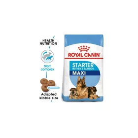   Royal Canin Maxi Starter Mother&Babydog 4kg - kutya száraztáp