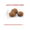 Royal Canin Sterilised 7+ 400g - macska száraztáp