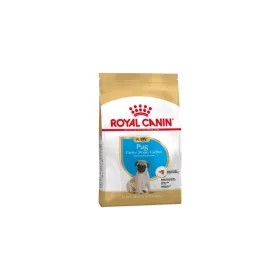 Royal Canin Pug Puppy 500g - kutya száraztáp