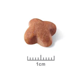   Royal Canin Jack Russell Terrier Adult 500g - kutya száraztáp