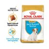 Royal Canin Jack Russell Terrier Puppy 500g - kutya száraztáp