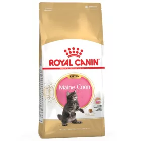 Royal Canin Maine Coon Kitten 2kg - macska száraztáp