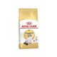 Royal Canin Ragdoll Adult 2kg - macska száraztáp