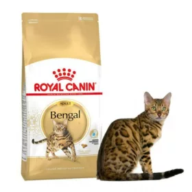 Royal Canin Bengal Adult 10kg - macska száraztáp