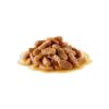 Royal Canin Maxi Puppy alutasakos 140g - kutya alutasakos