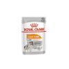 Royal Canin Coat Beauty Care 85g - nedves kutya táp