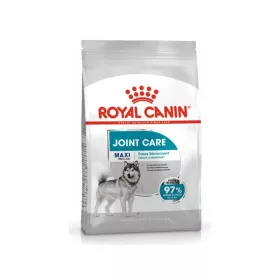 Royal Canin Maxi Joint Care 10kg - kutya száraztáp