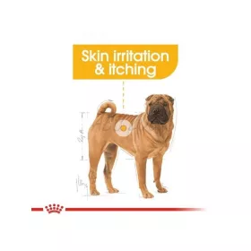 Royal Canin Medium Dermacomfort 3kg - kutya száraztáp