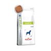 Royal Canin Diabetic Canine 7kg - kutya száraztáp