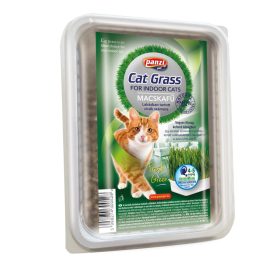 Panzi macskafű dobozos 300g 300528