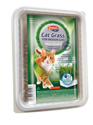 Panzi macskafű dobozos 300g 300528