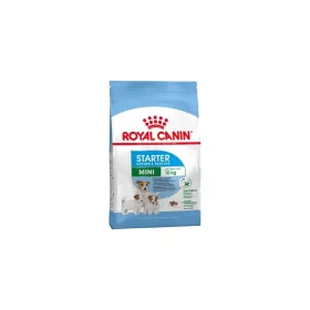   Royal Canin Mini Starter Mother&Babydog 4kg - kutya száraztáp