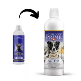   Arthrocol Rocky Pro (Mobility Active) kollagénnel dúsított ízületvédő kutyáknak 300 ml