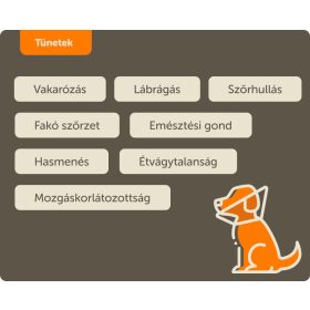 HUMAC® Natur AFM Liquid 30ml