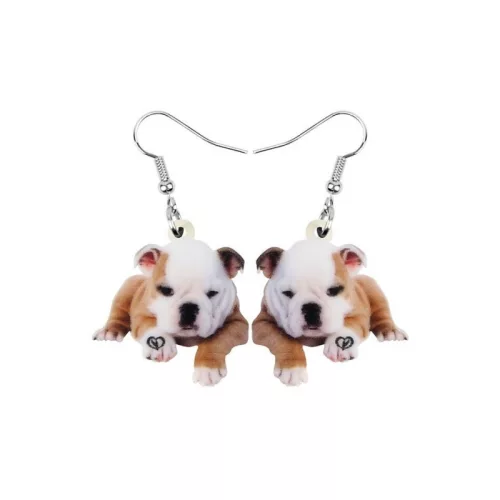 Fülbevaló Angol bulldog 2