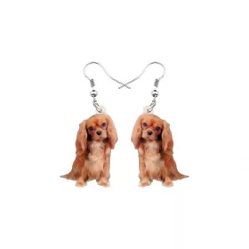 Fülbevaló Cavalier King Charles spániel 4