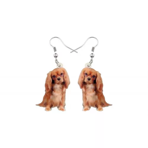 Fülbevaló Cavalier King Charles spániel 4