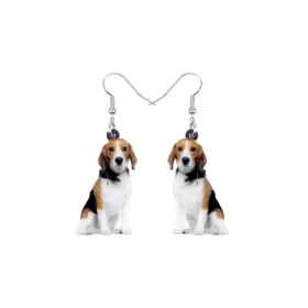 Fülbevaló Beagle 1