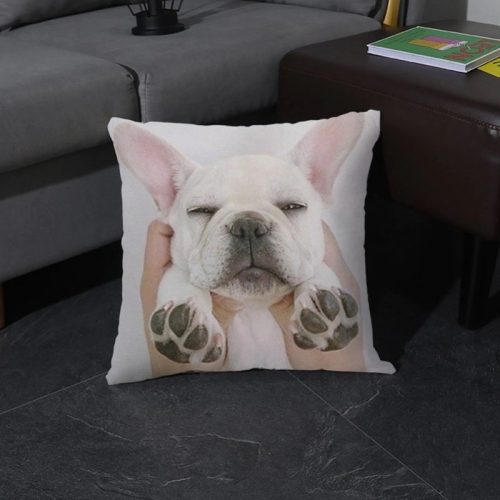 Párnahuzat Francia bulldog 5