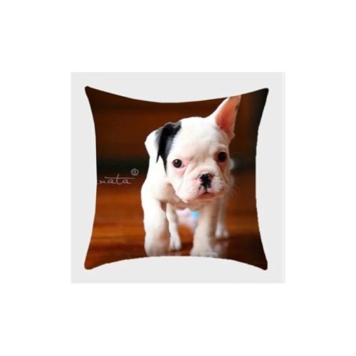 Párnahuzat Francia bulldog 7
