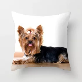 Párnahuzat Yorkshire terrier 7