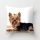 Párnahuzat Yorkshire terrier 7