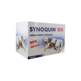 Synoquin EFA Tasty Large Breed tabletta 30db