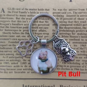 Kulcstartó Pitbull