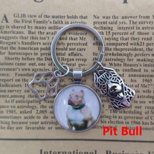 Kulcstartó Pitbull