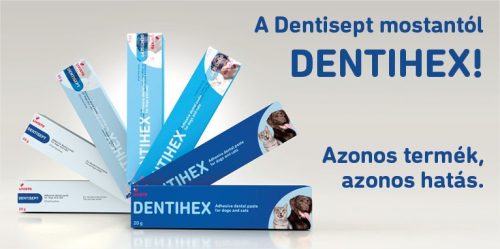 Dentihex (Dentisept) gél 20g