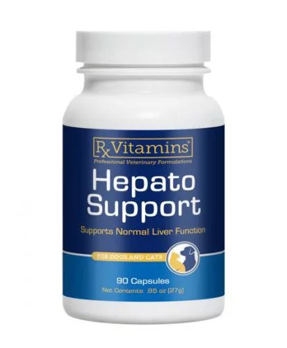 Rx Hepato Support TM kapszula 90x