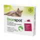 Akciós Dronspot spot on 5-8kg 1 pipetta (A termék lejárati ideje: 2025.07.31.)