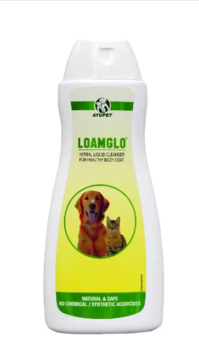 Akciós Loamglo sampon koncentrátum 200ml (A termék lejárati ideje: 2026.05.31.)