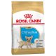 Akciós Royal Canin Chihuahua Puppy 500g (A termék lejárati ideje: 2025.05.10.)