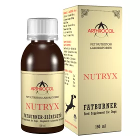   Akciós Arthrocol Nutryx zsírégető 150ml (A termék lejárati ideje: 2026.06.30.)