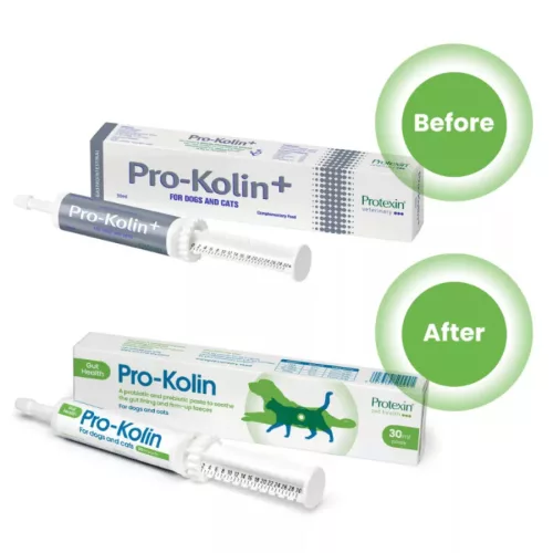 Akciós Protexin Pro-kolin paszta 15ml (A termék lejárati ideje: 2026.10.31.)