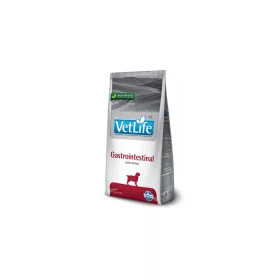   Akciós Vet Life Gastrointestinal Dog 2kg (A termék lejárati ideje: 2026.11.03.)
