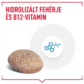   Akciós Royal Canin Hypoallergenic Treats 230g (A termék lejárati ideje: 2026.06.20.)