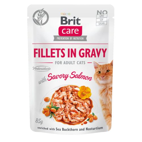 Brit Care Cat Fillets in gravy with savory salmon alutasakos 85g