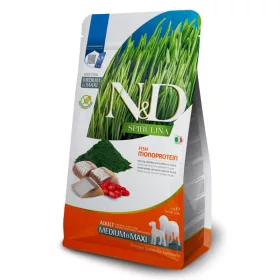   N&D Spirulina Dog Herring Adult Medium/Maxi 2kg - kutya száraztáp hering, sirulina, goji-bogyó
