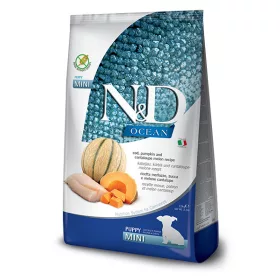   N&D Ocean Dog Cod Puppy Mini 7kg - kölyök kutya száraztáp tőkehal, sütőtök, sárgadinnye